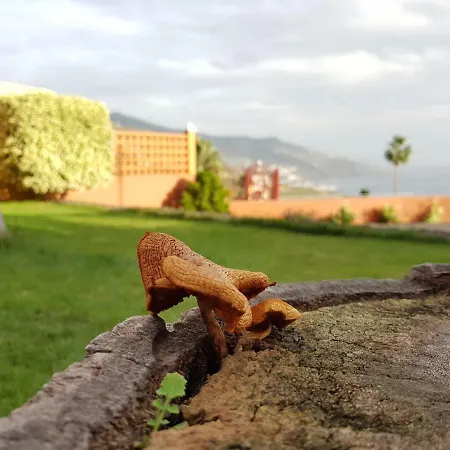 Casa Cruz カントリーハウス