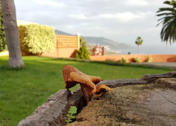 Casa Cruz Séjour à la campagne